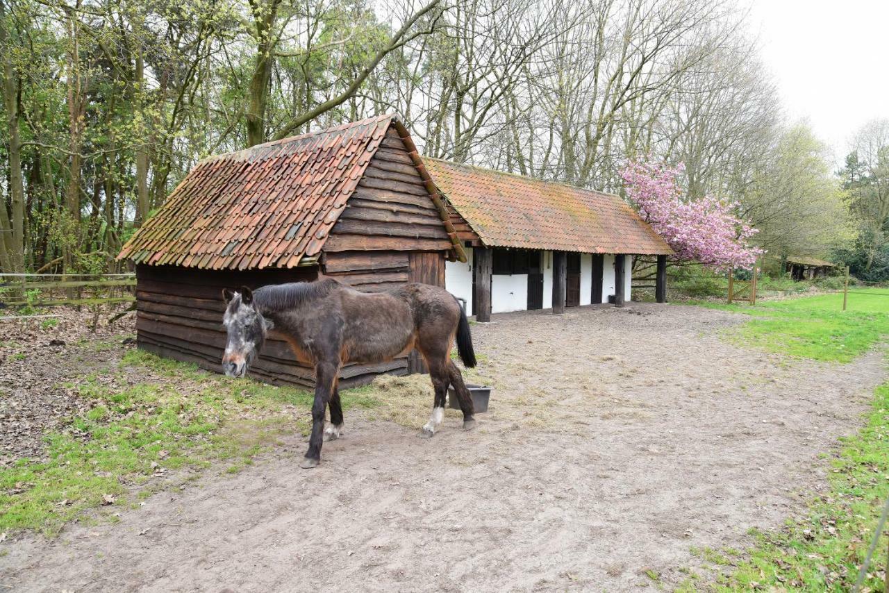 B&B Domein Rodin Oud-Turnhout Exterior foto